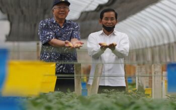 Kunjungi Garut, Staf Ahli Presiden Apresiasi Pengembangan Bibit Kentang Industri Unggulan