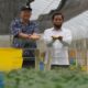 Kunjungi Garut, Staf Ahli Presiden Apresiasi Pengembangan Bibit Kentang Industri Unggulan
