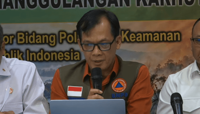 663,61 Hektare Lahan Masih Terbakar, Pemerintah Fokus di 2 Provinsi Kalteng dan Sumsel