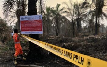 Darurat Karhutla, KLH Segel 19 Perusahaan Malaysia dan Singapura