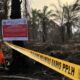 Darurat Karhutla, KLH Segel 19 Perusahaan Malaysia dan Singapura