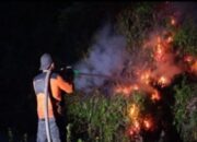 Karhutla Kembali Terjadi di Kotawaringin Barat, Petugas Gabungan Padamkan Api