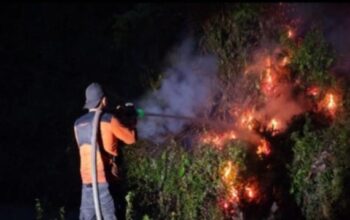 Karhutla Kembali Terjadi di Kotawaringin Barat, Petugas Gabungan Padamkan Api