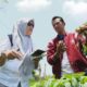 Saat Bibit Kentang Lokal Unjuk Gigi di Hadapan Industri