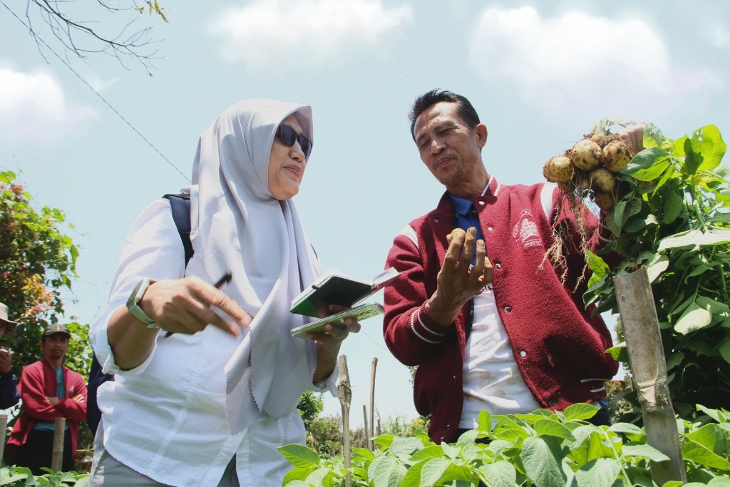 Petani Kentang Aims
