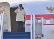 Presiden Go To Malut