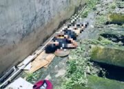 Pria Tewas Tersetrum Listrik Diduga Pencuri Kabel