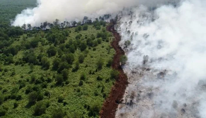 Chanee Kalaweit Ungkap Strategi Sekat Bakar untuk Cegah Api Karhutla Meluas