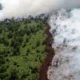 Chanee Kalaweit Ungkap Strategi Sekat Bakar untuk Cegah Api Karhutla Meluas