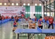 Tenis Meja Pingpong